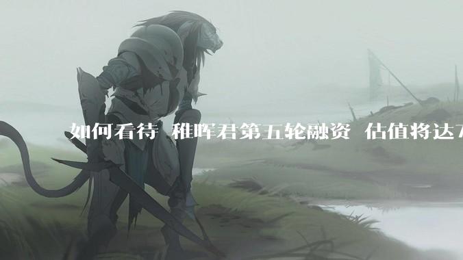 如何看待 稚晖君第五轮融资 估值将达70亿？