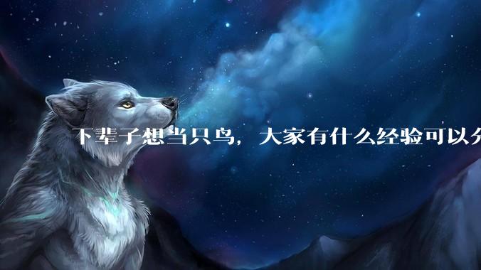 下辈子想当只鸟，大家有什么经验可以分享吗？